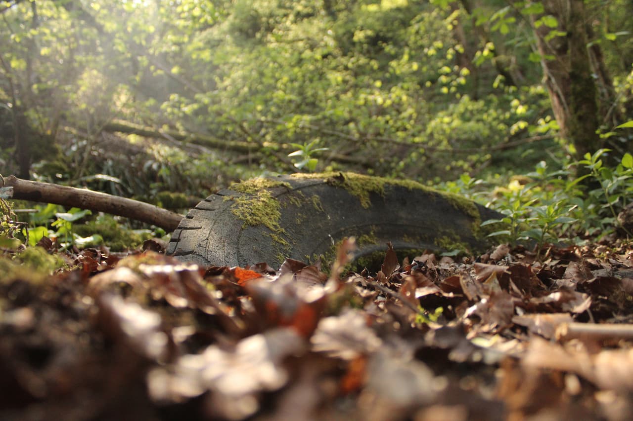 <b>‘Sumergido’</b>
<br>
<br>“Un neumático recuperado por la naturaleza que muestra la conexión entre las personas y el mundo natural”, explica el concurso. Fue la imagen ganadora en la categoría ‘fotógrafo jóven’ del premio anual de la Sociedad Real de Biología, creada para reconocer a los autores menores de 18 años.