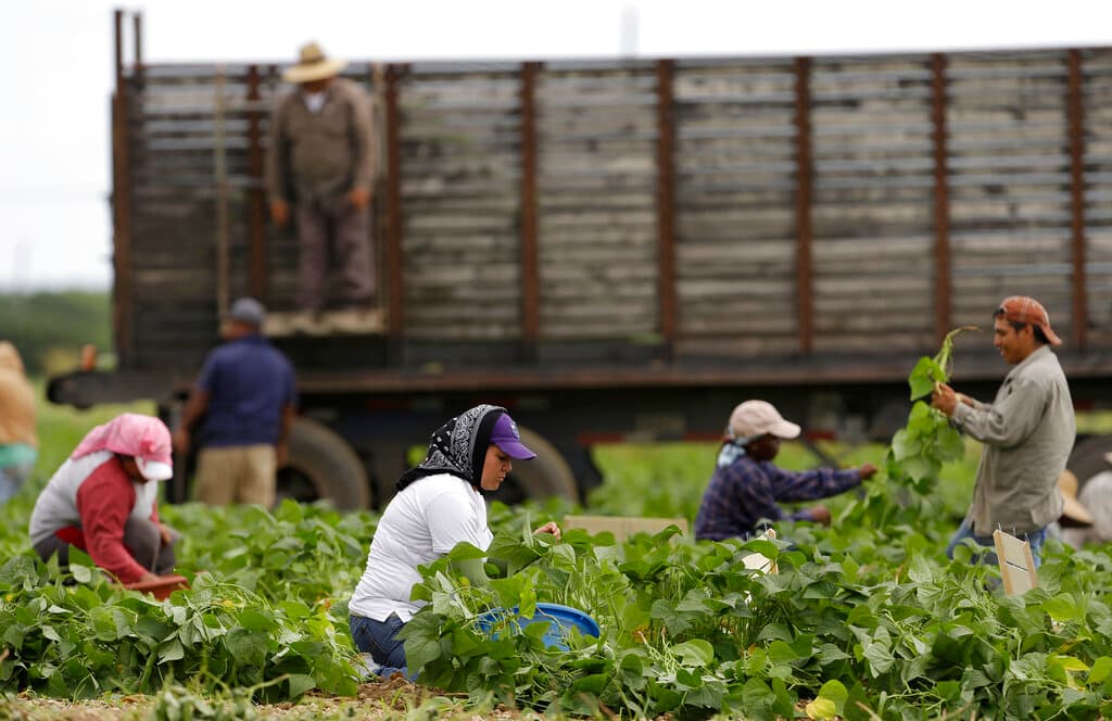 "Si los deportas, la inflación se va al techo": el esfuerzo de empresarios para evitar que 'dreamers' y trabajadores esenciales sean expulsados