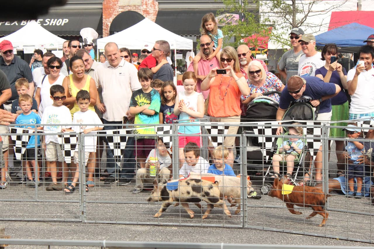 <b><a href="https://peakcitypigfest.com/">Peak City Pig Fest (23 y 23 de julio).</a></b> Música en vivo, una cervecería al aire libre, una competencia de parrilladas (autorizada por la Kansas City Barbecue Society) y más conforman uno de los eventos más sabrosos de Apex del año.