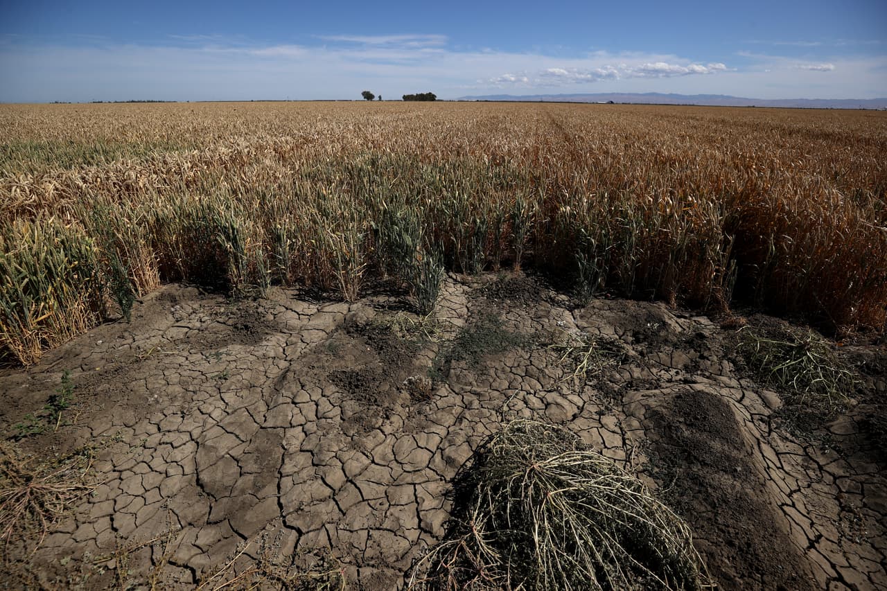 Entre los 
<b>factores que provocan</b> ese tipo de 
<b>cambios extremos</b> están las emisiones de gases efecto invernadero, generados principalmente por 
<b>actividad humana</b>.