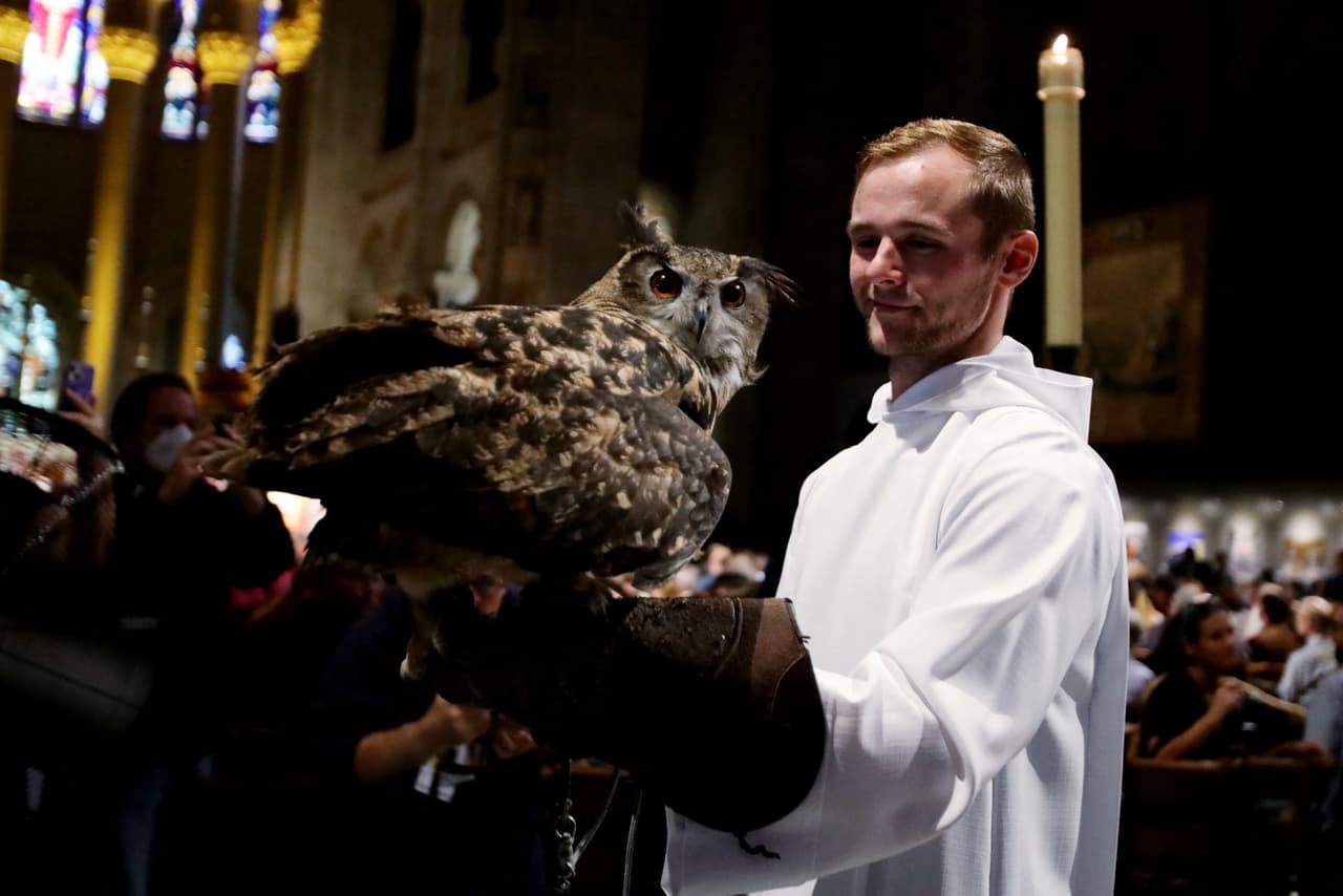 Un búho estuvo entre los animales de la bendición.
