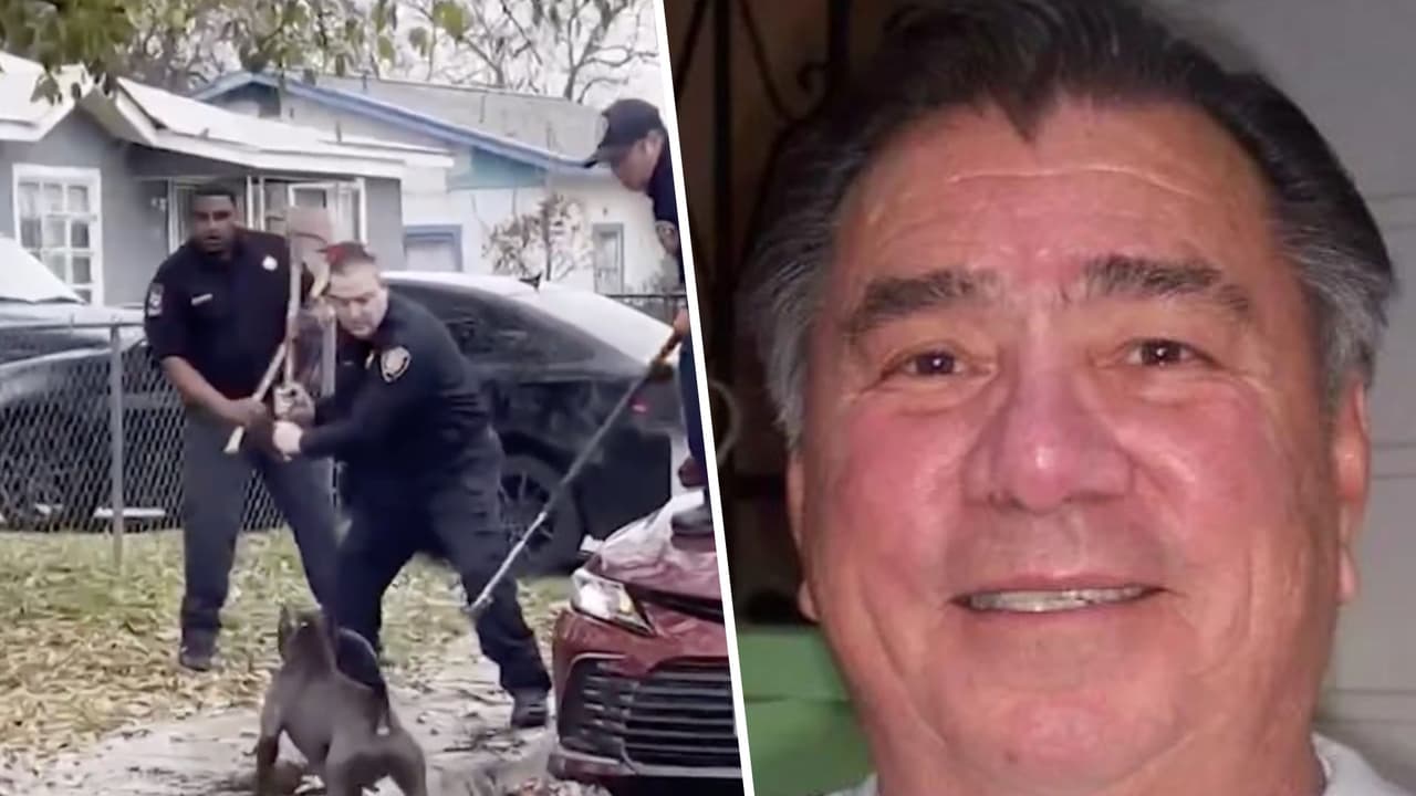 Perros atacaron a más gente antes de matar a Ramón Nájera; ahora su familia interpone demanda contra la ciudad de San Antonio