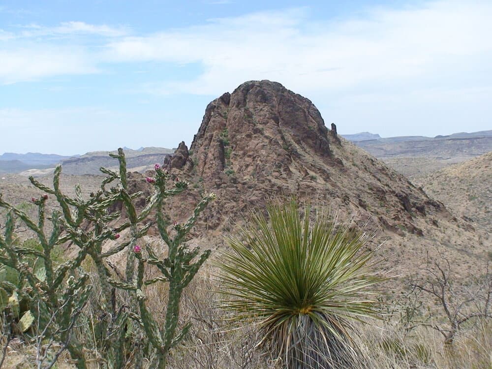 <h3 class="cms-H3-H3">5. Parque Estatal Big Bend Ranch</h3>
<br>
<br>En la actualidad, la QPI evalúa unos 260 lugares. Uno de los sitios con más puntos a favor es este parque estatal ubicado en 
<a href="https://www.univision.com/temas/texas">Texas</a>, Estados Unidos. La organización ha dejado claro que 
<b>analizará todas las grabaciones de sonido de cada ubicación para tomar su decisión final. </b>