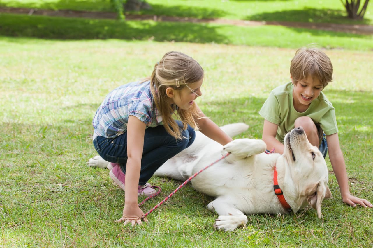 ¡Feliz adopción! Lo conseguiste, encontraste a tu mascota ideal, y estás lista para cuidarla y darle amor por muchos años.