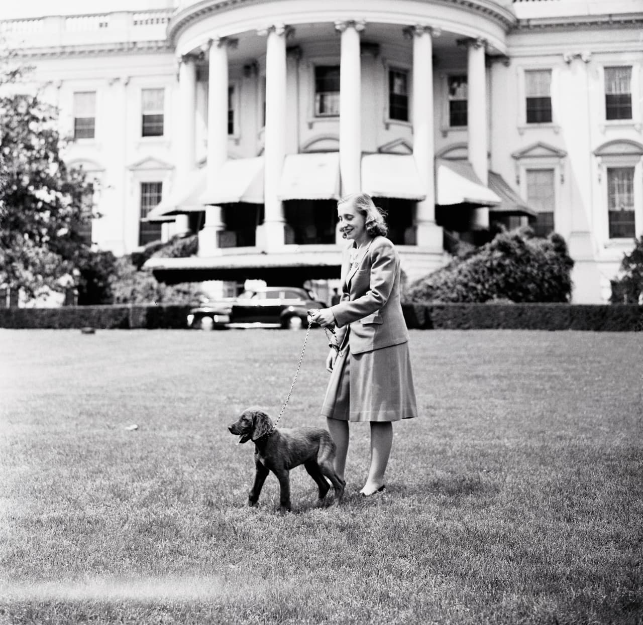 Harry Truman tuvo dos perros. Era el vicepresidente de Roosevelt y lo sucedió tras su muerte en 1945. El siguiente en ocupar el cargo, Dwight Eisenhower, tuvo un solo cachorro. En la fotografía Margaret Truman, hija del mandatario, en la Casa Blanca con un 
<i>Irish Setter</i> llamado 'Mike'.