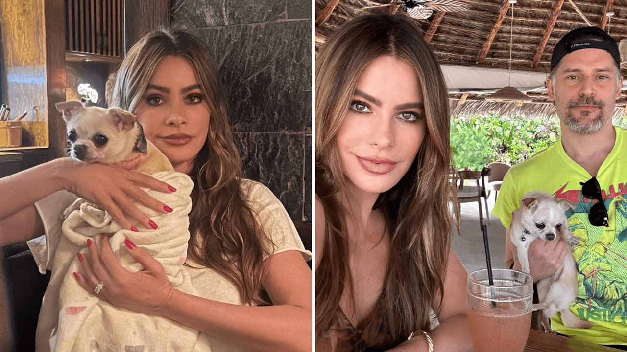 Sofía Vergara y Joe ya tendrían acuerdo por la custodia de Bubbles: "Quiere que sea feliz"