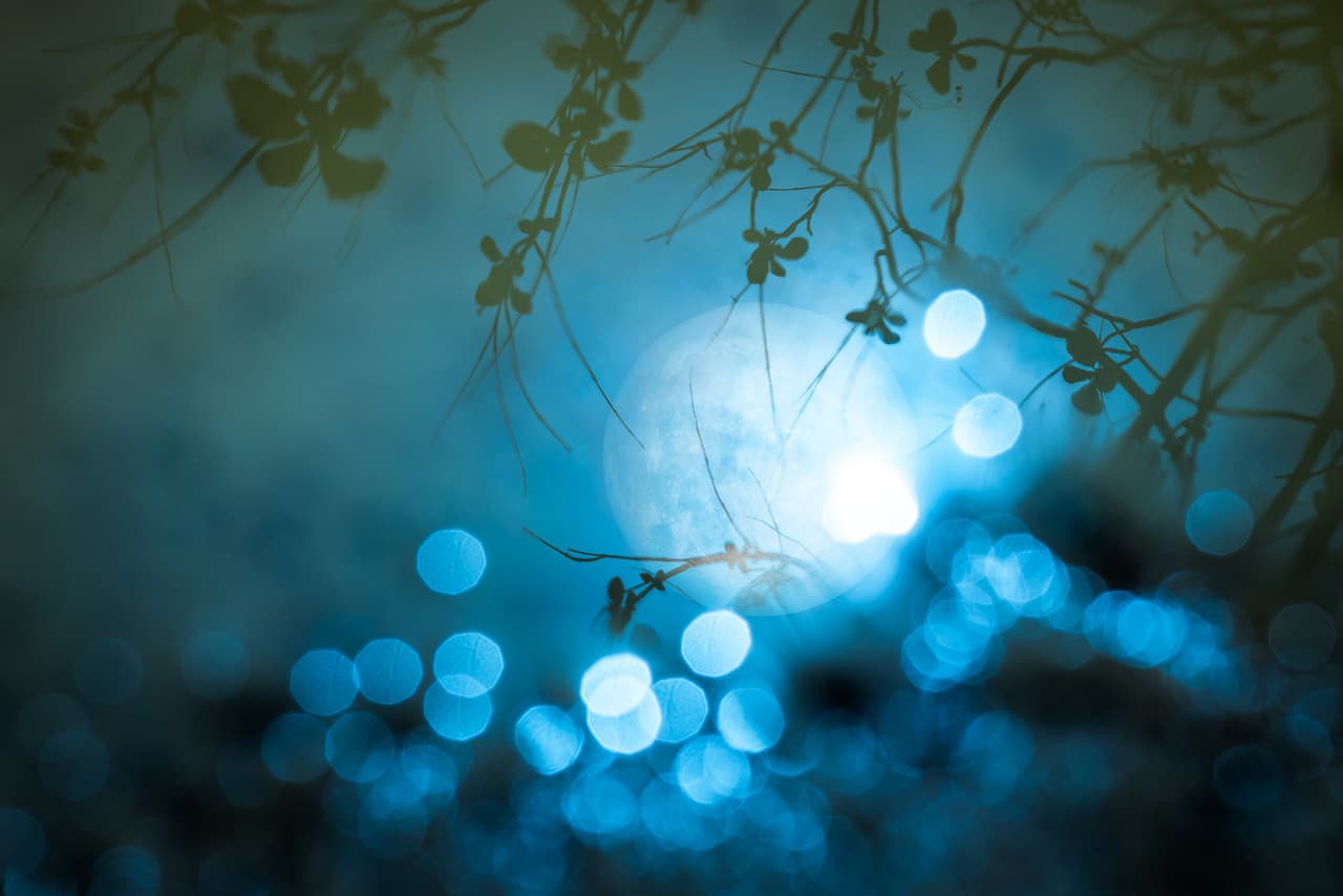 <b>Diciembre: luna fría</b>
<br>
<b>Signo que la rige: Sagitario y Rata en el horóscopo chino<br><br>Y por supuesto, la llegada del invierno otorgó a luna llena de diciembre el nombre de luna fría. Otros nombres son luna de la noche larga y luna del roble.<br></b>