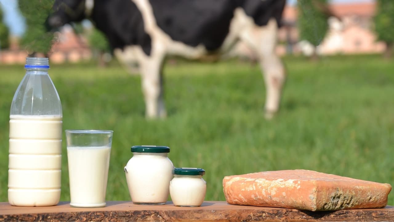<b>Mayor vida útil de la leche</b>: una nueva ley reconoce el avance en las pruebas de laboratorio que permiten que las fechas de caducidad o caducidad de la leche tengan unos días adicionales en los estantes de las tiendas.
<br>
<br>
<br>