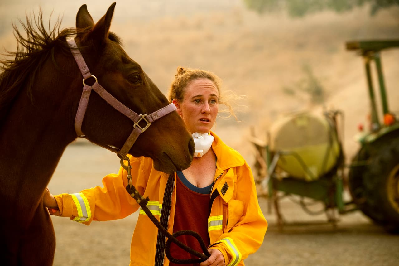 En Healdsburg, una de las primeras regiones evacuadas por el incendio Kincade, la veterinaria Emily Putt ayudó en la evacuación de decenas de caballos de las zonas amenazadas por las llamas.