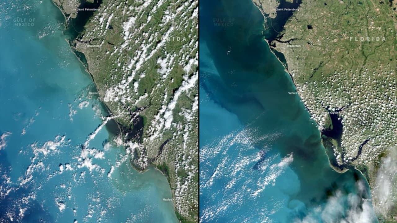 Satélites revelan imágenes de la devastación del Huracán Milton en la costa de Florida: ¿qué fue lo que cambió?