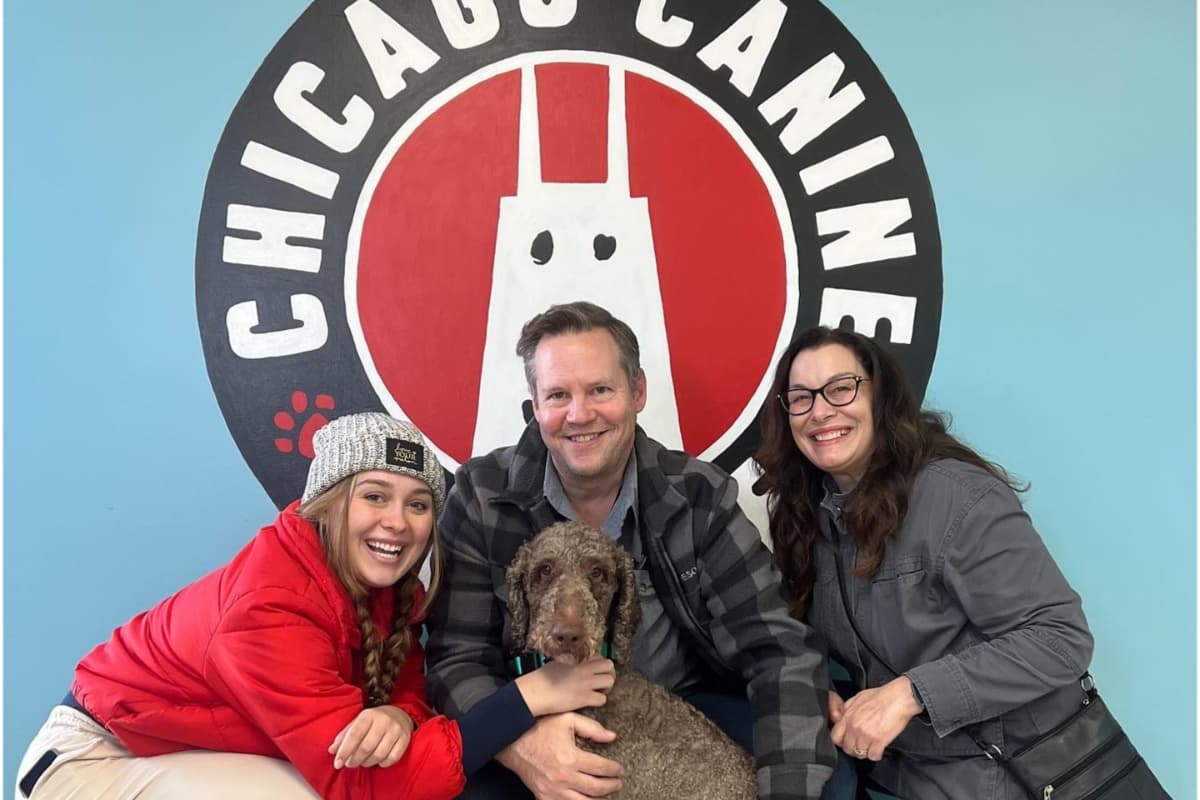 <b>Proyecto de Ley 2500: </b>Los refugios de animales y las instalaciones de control de animales tendrán que eliminar la tarifa de adopción para los veteranos militares en Illinois.