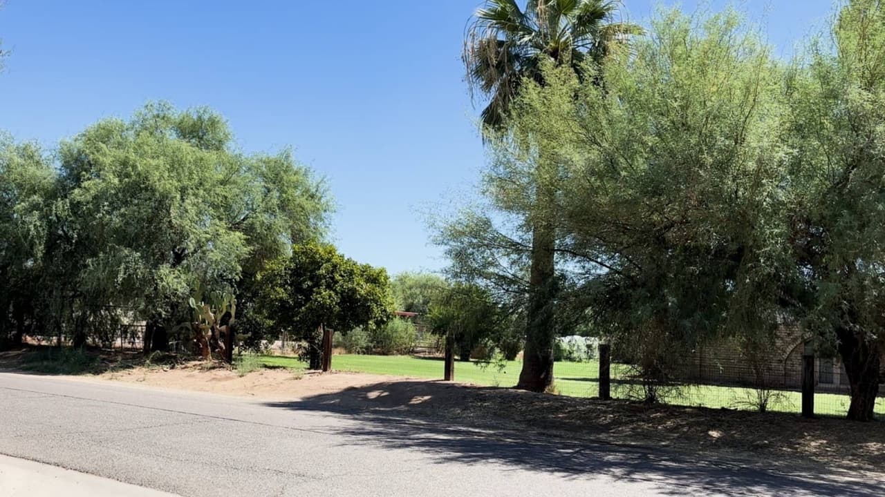 Medio ambiente en Arizona: ¿Cuáles son las prioridades que se deben considerar en nuestro estado?