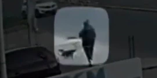 Videos de una cámara de seguridad consultados por 
<i>Noticias Univision 14</i> muestran a Mónica caminando con su perro frente a un gimnasio de nombre ‘Fit 4 Life’. Un minuto después, cuando Mónica ya no aparece a cuadro, la cámara enfoca 
<a href="https://www.univision.com/local/san-francisco-kdtv/monica-de-leon-san-mateo-california-desaparecida-secuestro-jalisco-mexico">varios vehículos en donde presuntamente viajaban los sospechosos</a>.