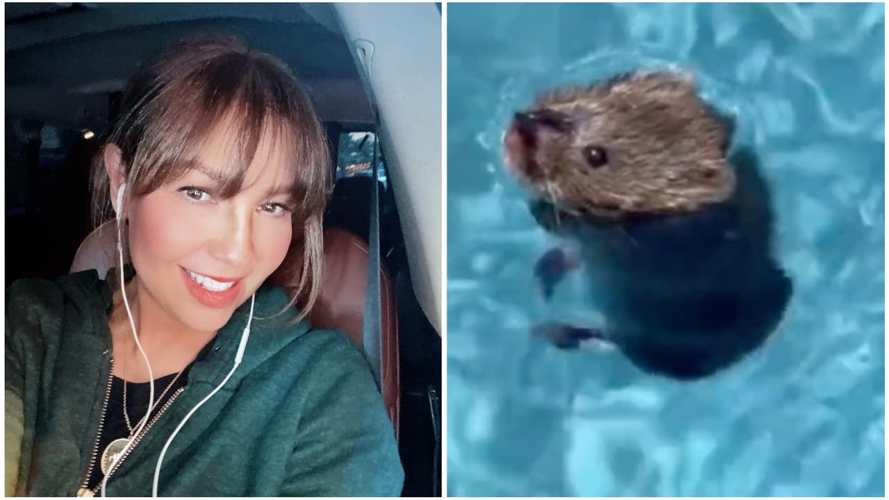 Thalía se arma de valor y hace hasta lo imposible por salvar a un ratón de morir ahogado en su piscina