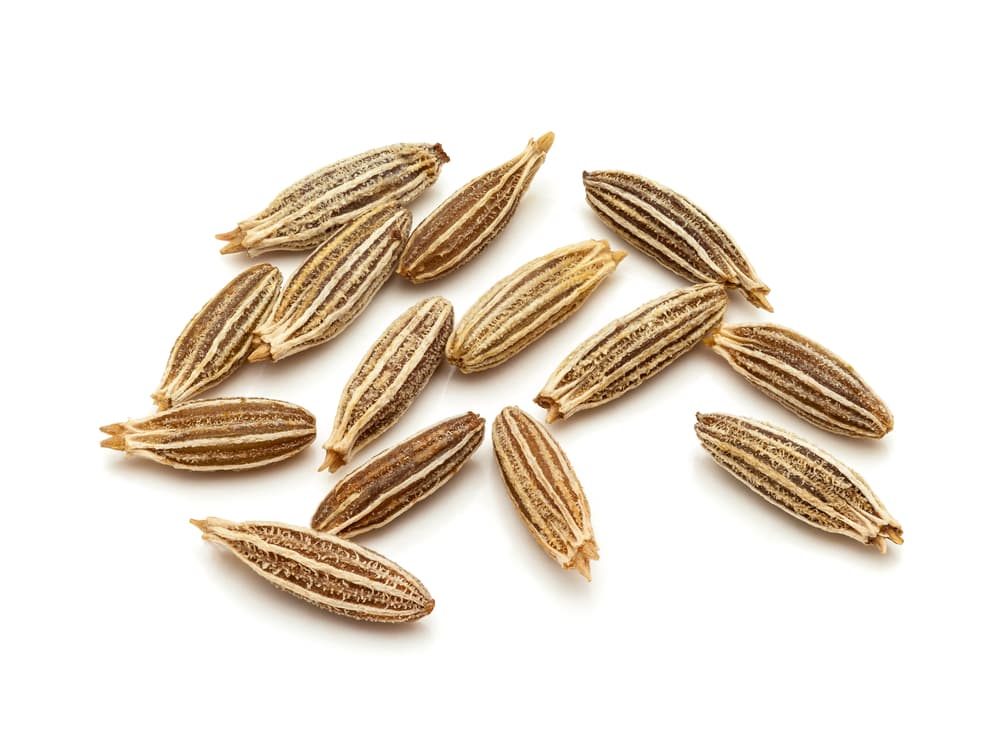 Uno de sus compuestos importantes se llama aldehído cumino, así como luteol, apigenol y terpenos. A nivel medicinal y curativo, el comino resulta un diurético ideal, perfecto para deshacernos de toxinas y como un gran tónico estomacal.