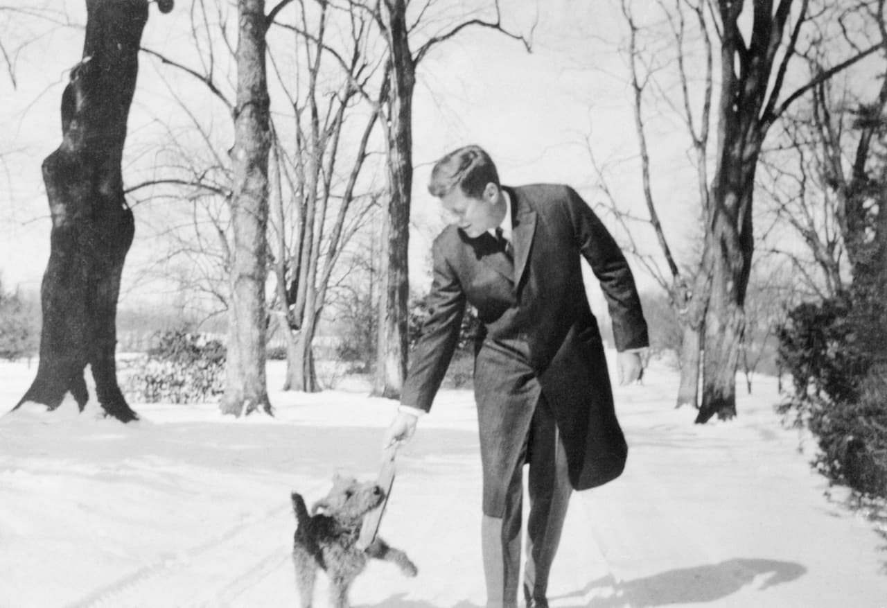 John Fitzgerald Kennedy, quien gobernó entre 1961 y 1963, tuvo al menos nueve perros. En la fotografía tomada en 1962 el mandatario junto a 'Charlie', un perro de raza 
<i>Welsh Terrier.</i>
