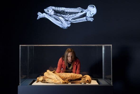 El Museo Británico presenta la exposición "Ocho momias, ocho historias", donde gracias a la más moderna tecnología de escáneres, permite ver como nunca antes joyas, cabellos, músculos, huesos y hasta las arterias de las momias.