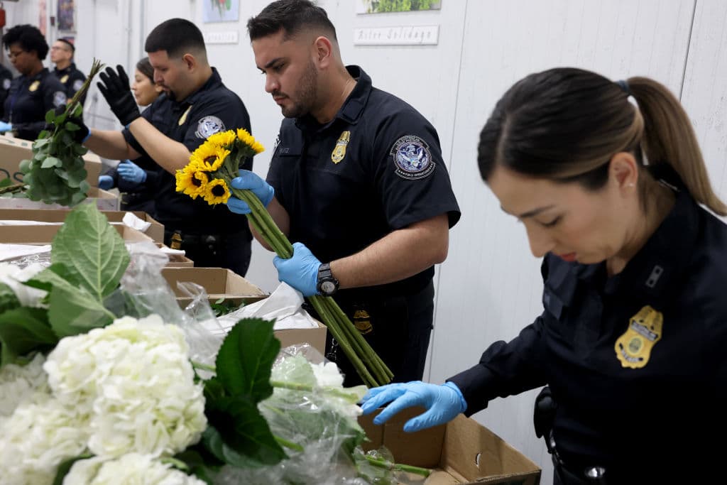 De las tres millones de toneladas en mercancías que recibió el aeropuerto de Miami el año pasado, casi 400.000 toneladas fueron flores.