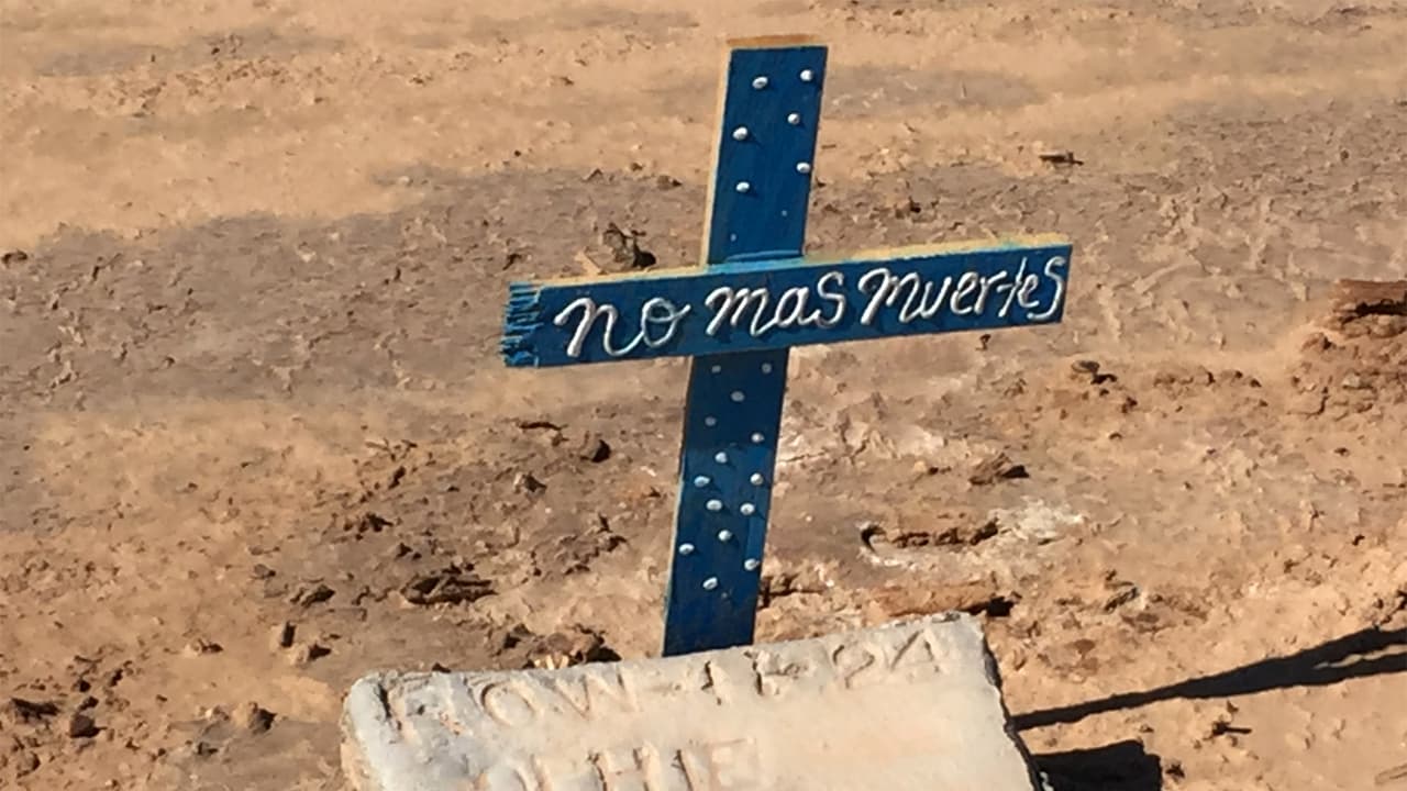 De acuerdo con la fundación Ángeles de la Frontera en el camposanto descansan los restos de inmigrantes que murieron en su intento de buscar una vida mejor en Estados Unidos.