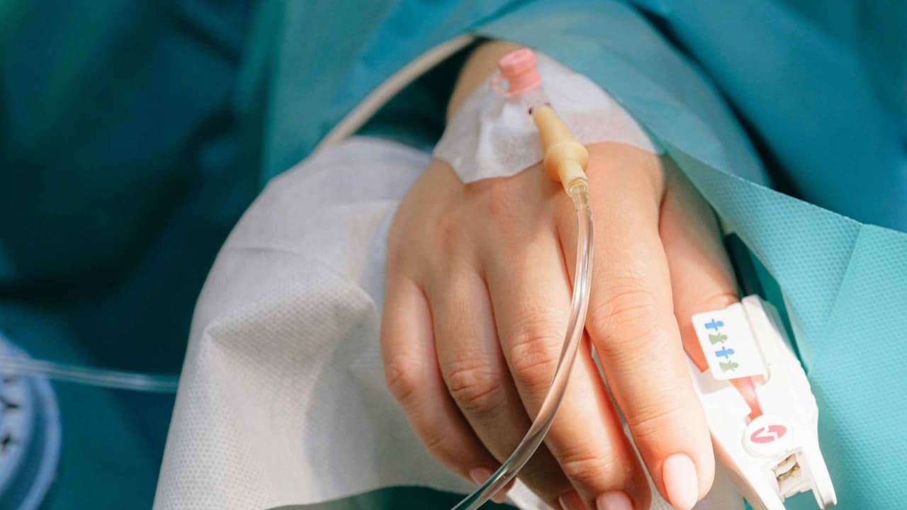Peste bubónica en Arizona: qué significa la confirmación de una primera muerte