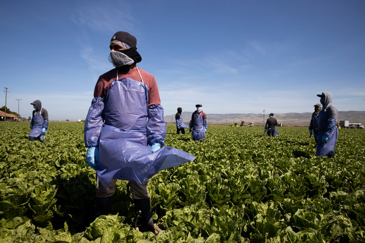 Un grupo de organizaciones pide al gobierno de EEUU proteger de la deportación a trabajadores víctimas de abusos laborales