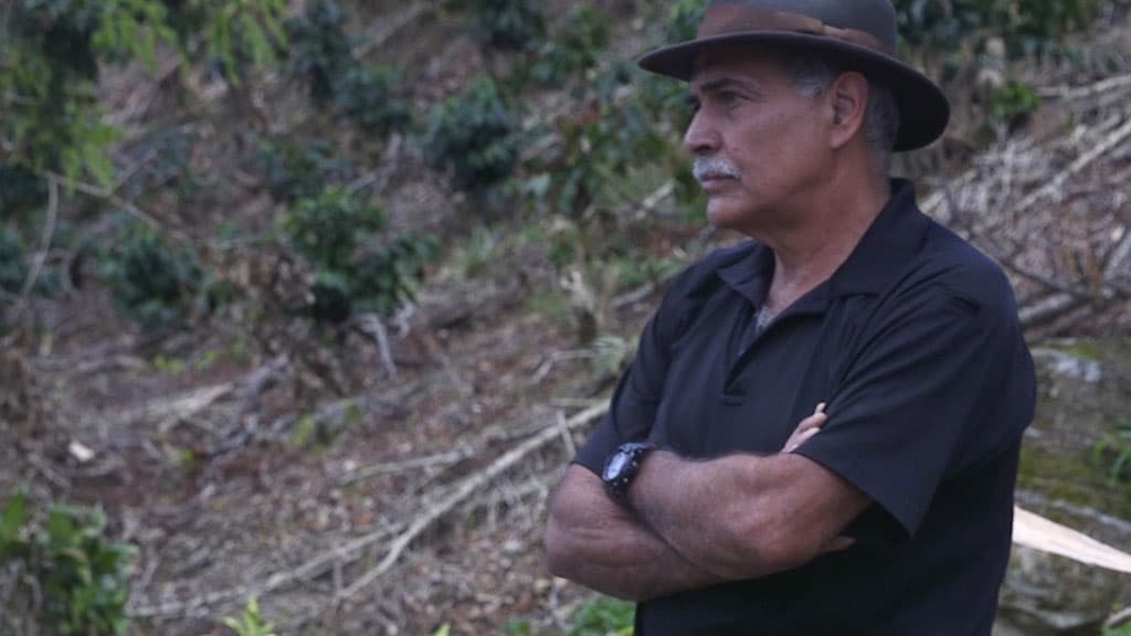 Puerto Rico: Their neighbors fled, but these Puerto Ricans see a future on the island