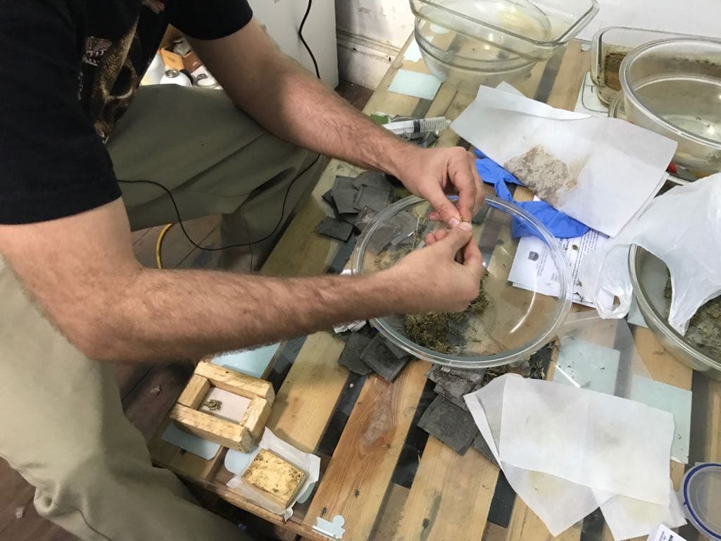 Algunos han establecido laboratorios clandestino en los que elaboran el aceite de cannabis.