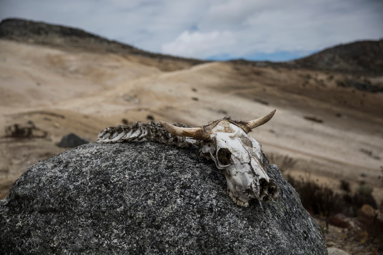 En sudamérica, los glaciares de la zona tropical de los Andes se han estado derritiendo más rápidamente que los demás, por ser un área donde la radiación solar golpea con más fuerza. En Venezuela, que atraviesa una compleja situación política y económica, un equipo de científicos está registrando la desaparición del último glaciar que queda en ese país, el Humboldt, a más de 16,000 pies de altura (unos 4,700 metros).