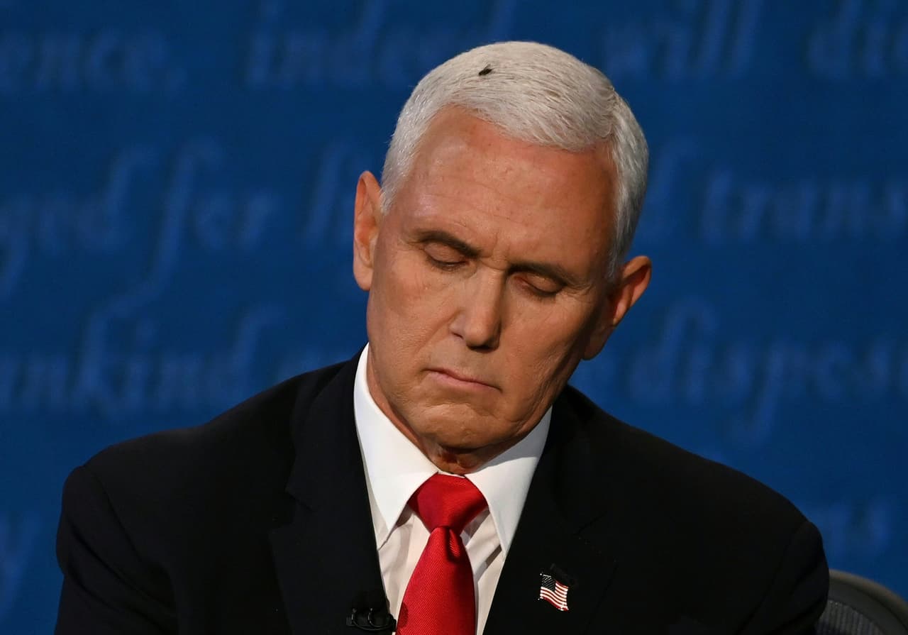 Una mosca se posó sobre la cabeza del vicepresidente Mike Pence, marcando un contraste con su cabello canoso. El peculiar momento se hizo viral en las redes sociales.
