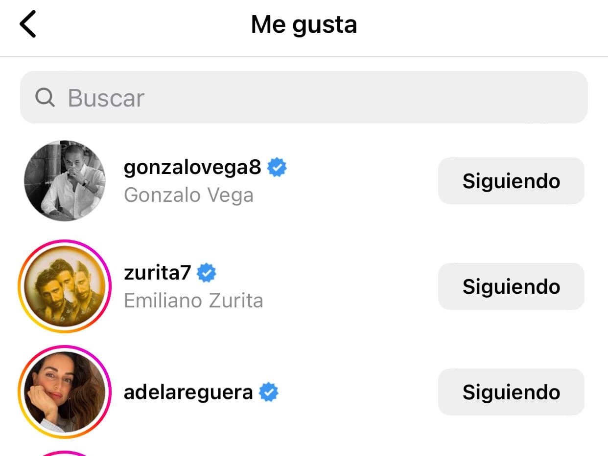 A la imagen reaccionó Ana de la Reguera dándole un 'me gusta'. 
<br>