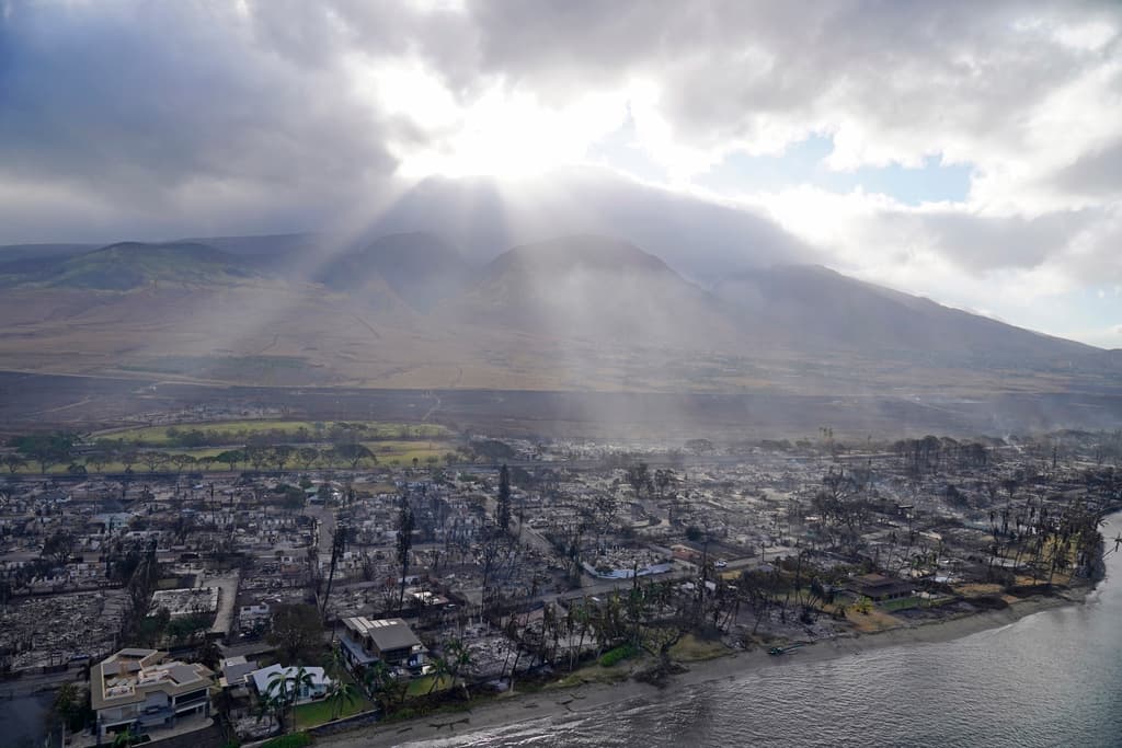 “Encontrarán entre 10 y 20 cuerpos al día": aumenta a 99 la cifra de muertos por los incendios en Hawaii y temen que se multiplique