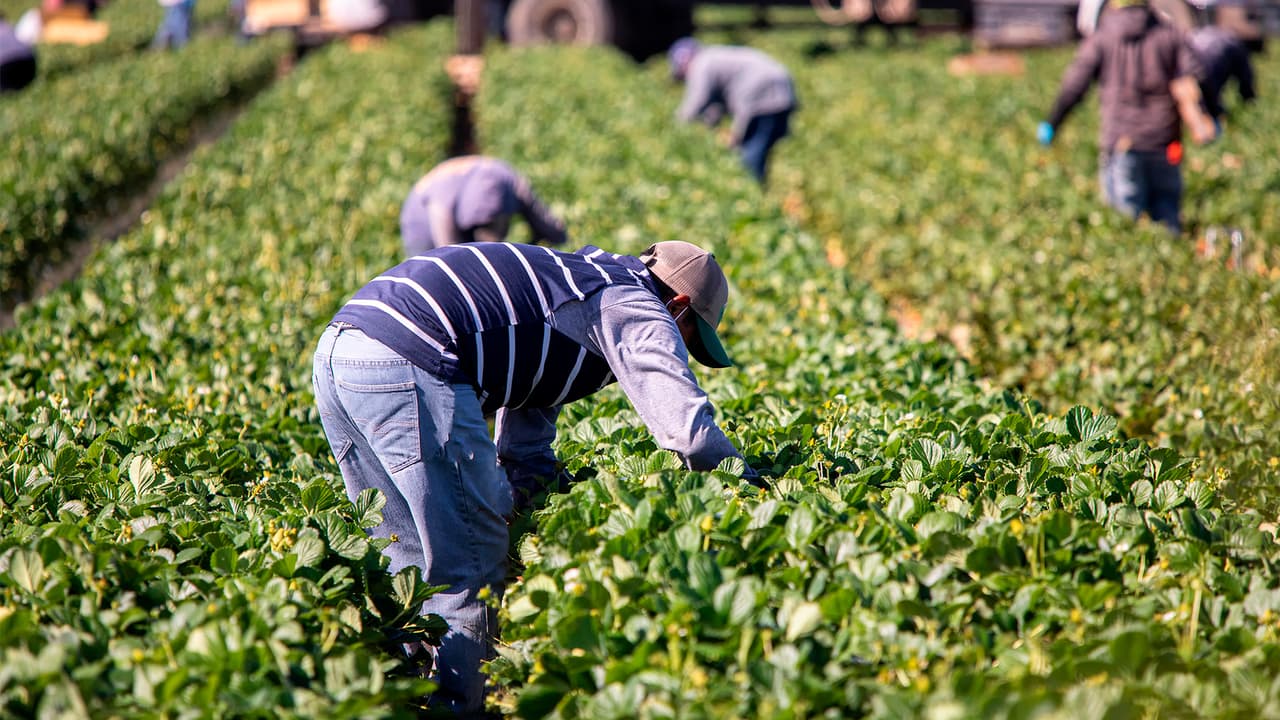 SB 227 en California: Proponen ayuda económica para trabajadores indocumentados afectados por desastres