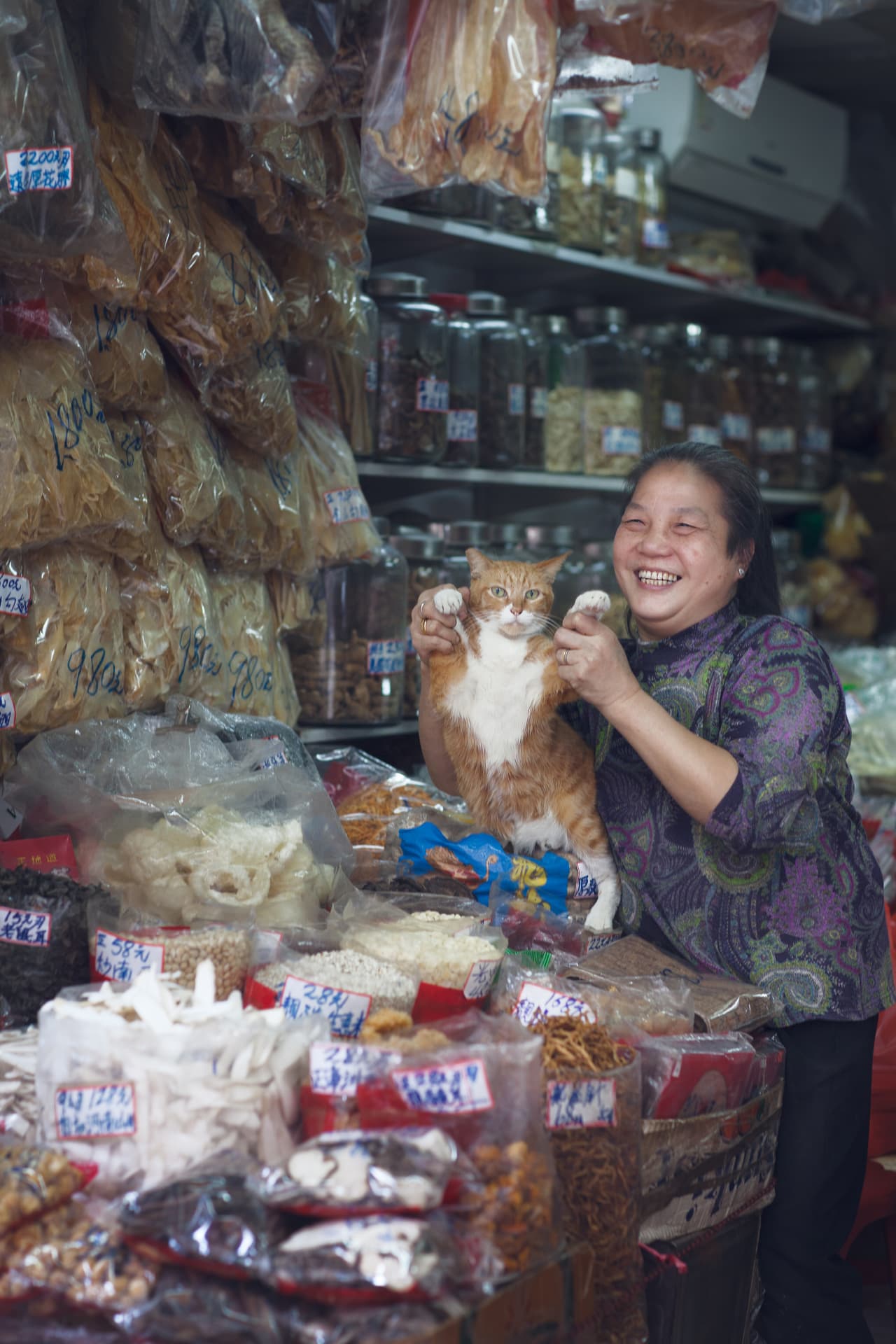 'Cat Lady', 
<a href="http://www.questforbeauty.co/hongkong#12">Hong Kong</a>, enero 2016.
