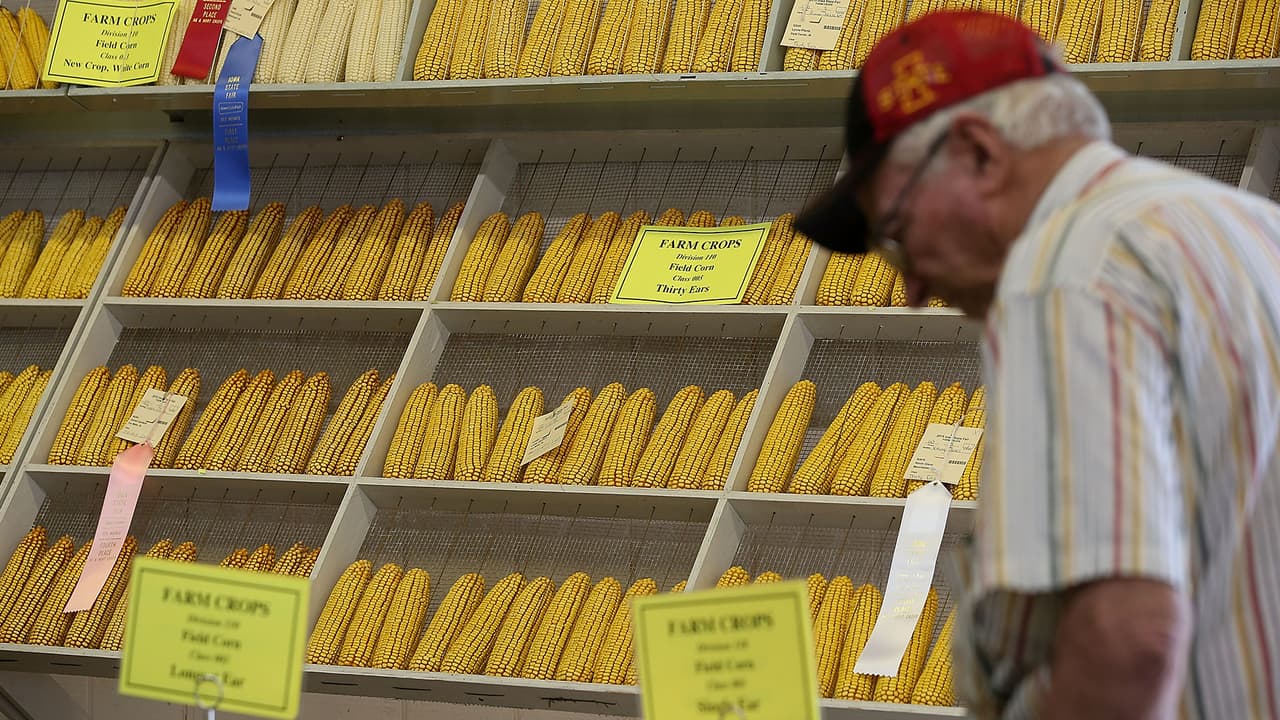 El motivo por el incremento es que Ucrania y Rusia son vendedores de maíz, exportan el 30% del producto a nivel mundial.