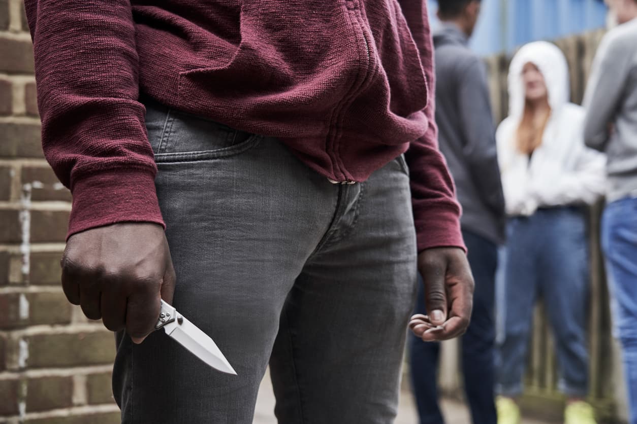 Cualquier tipo de actividad criminal dentro o en las áreas comunes de la propiedad, así como las amenazas o delitos hechos o cometidos contra el propietario o sus representantes, serán motivo de un desalojo justificado para la AB 1482.