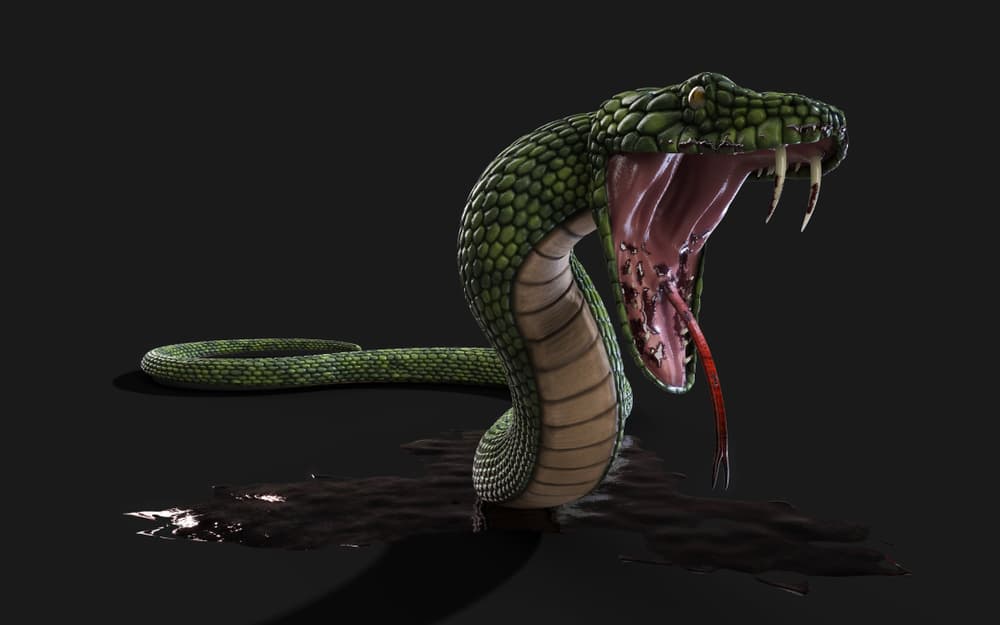 También el color del reptil puede ser algo importante en la interpretación. Por ejemplo, si 
<b>sueñas con serpientes verdes</b>, puede hablar de una traición inesperada por algún ser amado. Pero también el verde puede hablar de buena fortuna, cambios y hasta maduración personal.