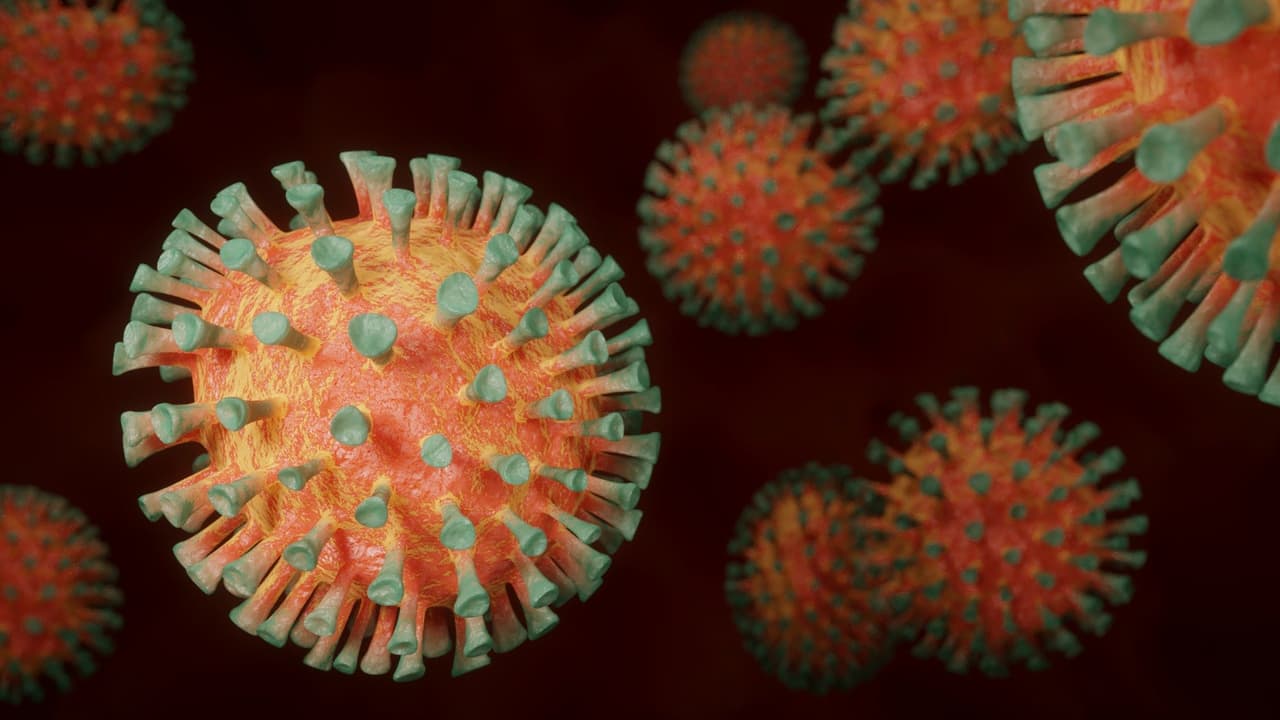 Según la 
<a href="https://www.who.int/es/activities/tracking-SARS-CoV-2-variants" target="_blank">Organización Mundial de la Salud, </a>los virus cambian constantemente a través de la mutación y se espera que con el tiempo aparezcan nuevas variantes de un virus. En EEUU y en todo el mundo se han documentado múltiples variantes del virus que causa 
<a href="https://www.univision.com/temas/covid-19-enfermedad">covid-19</a>.