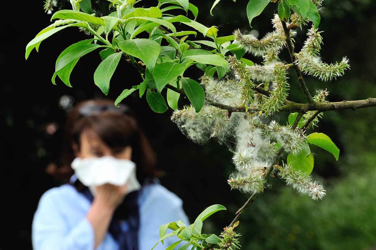 Otra diferencia a tener en cuenta, l
<b>os síntomas de las alergias tienden a aparecer y desaparecer</b> y empeoran al momento de estar al aire libre. Mientras que con una infección viral, l
<b>os síntomas empeoran de manera constante. </b>