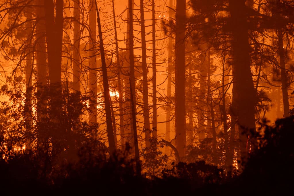 Miles de personas tuvieron que desalojar sus viviendas desde el mismo miércoles, a causa del incendio Park.