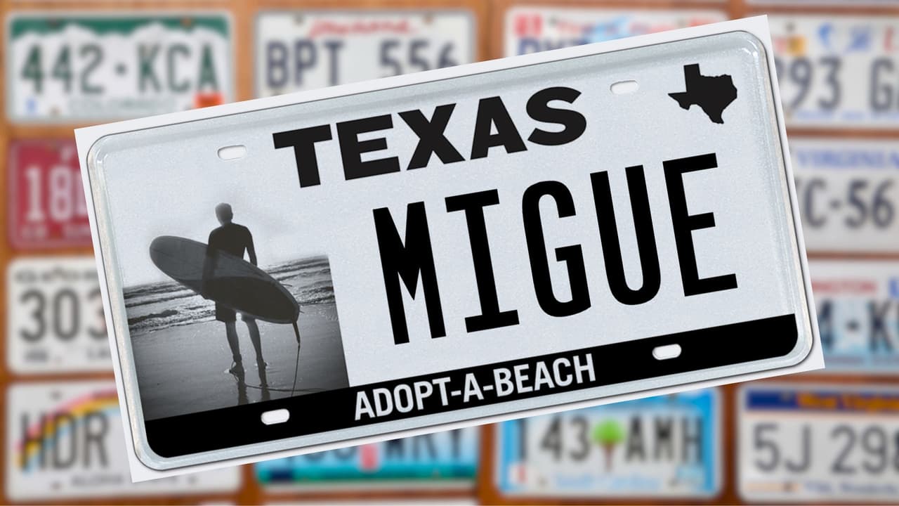 <h3 class="cms-H3-H3">Tipos de placas disponibles</h3>
<br>
<ul>
 <li><b>Placas My Plates Select:</b> Diseñadas por el proveedor, permiten personalización total y ofrecen opciones como planes de pago, descuentos por varios años y la posibilidad de participar en subastas.</li>
 <li><b>Placas patrocinadas por el estado:</b> Creadas por legislación o el TxDMV, apoyan programas sin fines de lucro y solo pueden adquirirse con una vigencia de un año.</li>
</ul>