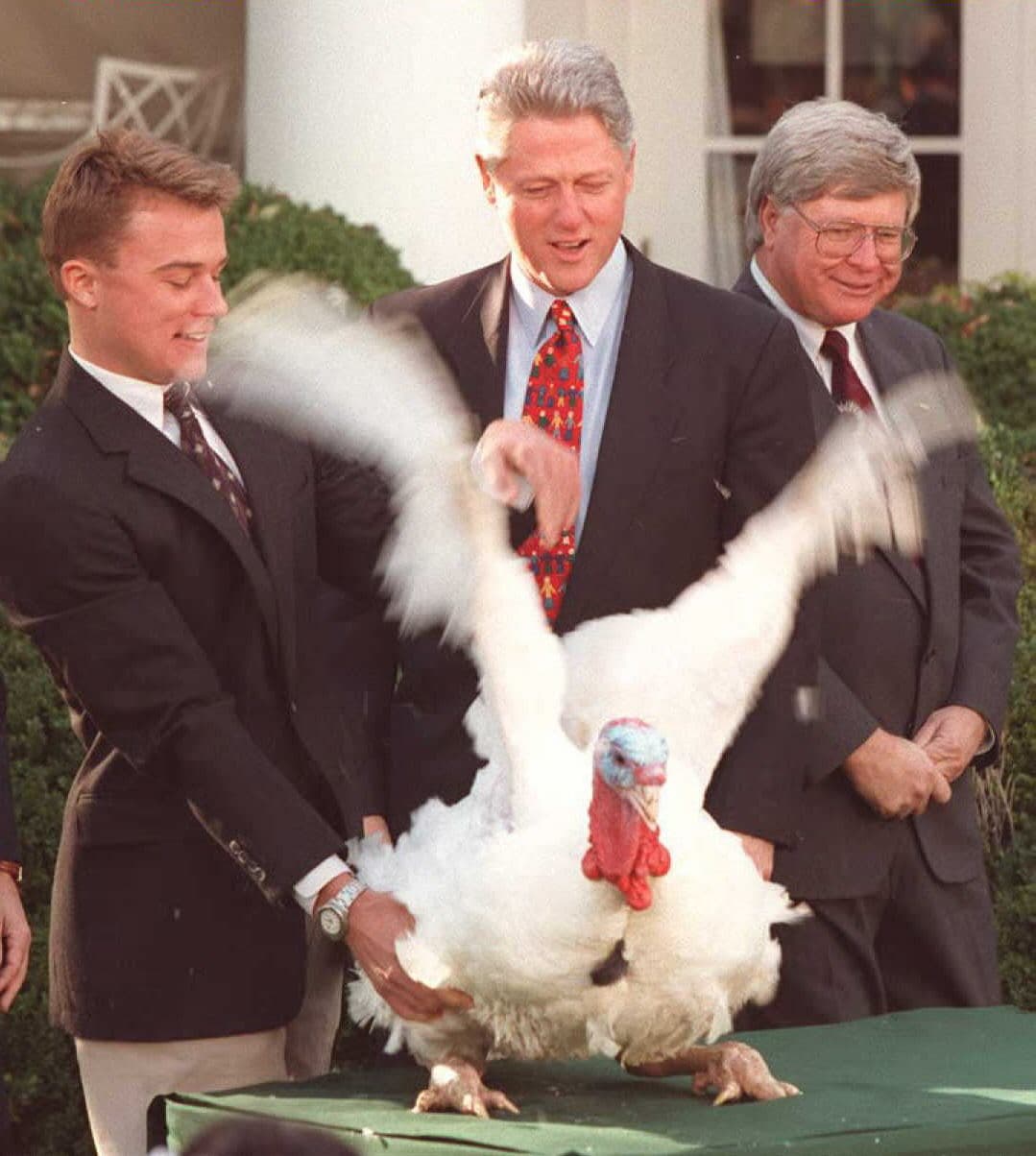 En 1995 el presidente 
<b>Bill Clinton</b> indultó a 'Thomas Jefferson’', el pavo donado a la Casa Blanca por la Federación Nacional del Pavo ese año.