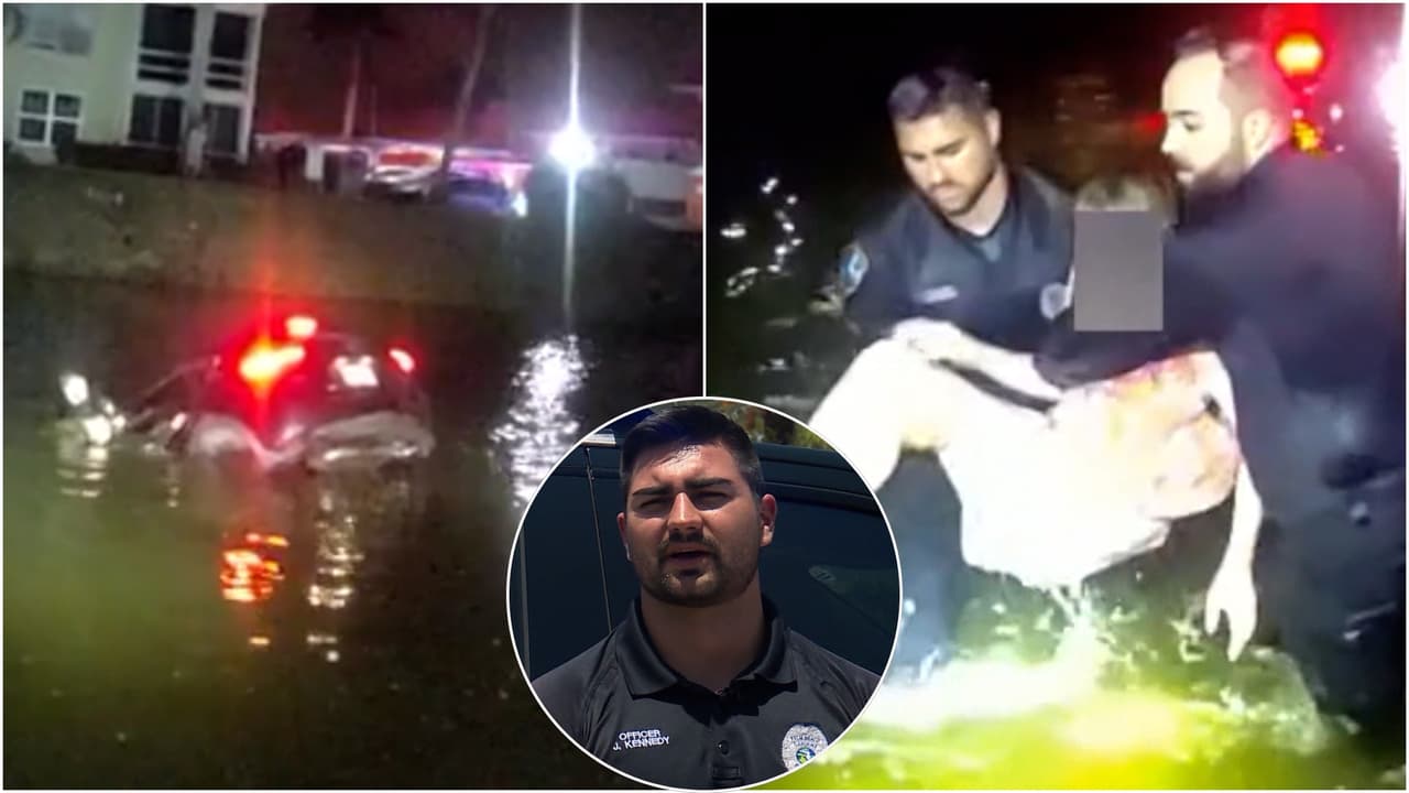 Policías saltan a un canal y rescatan a mujer atrapada en auto en Palm Beach Gardens, Florida