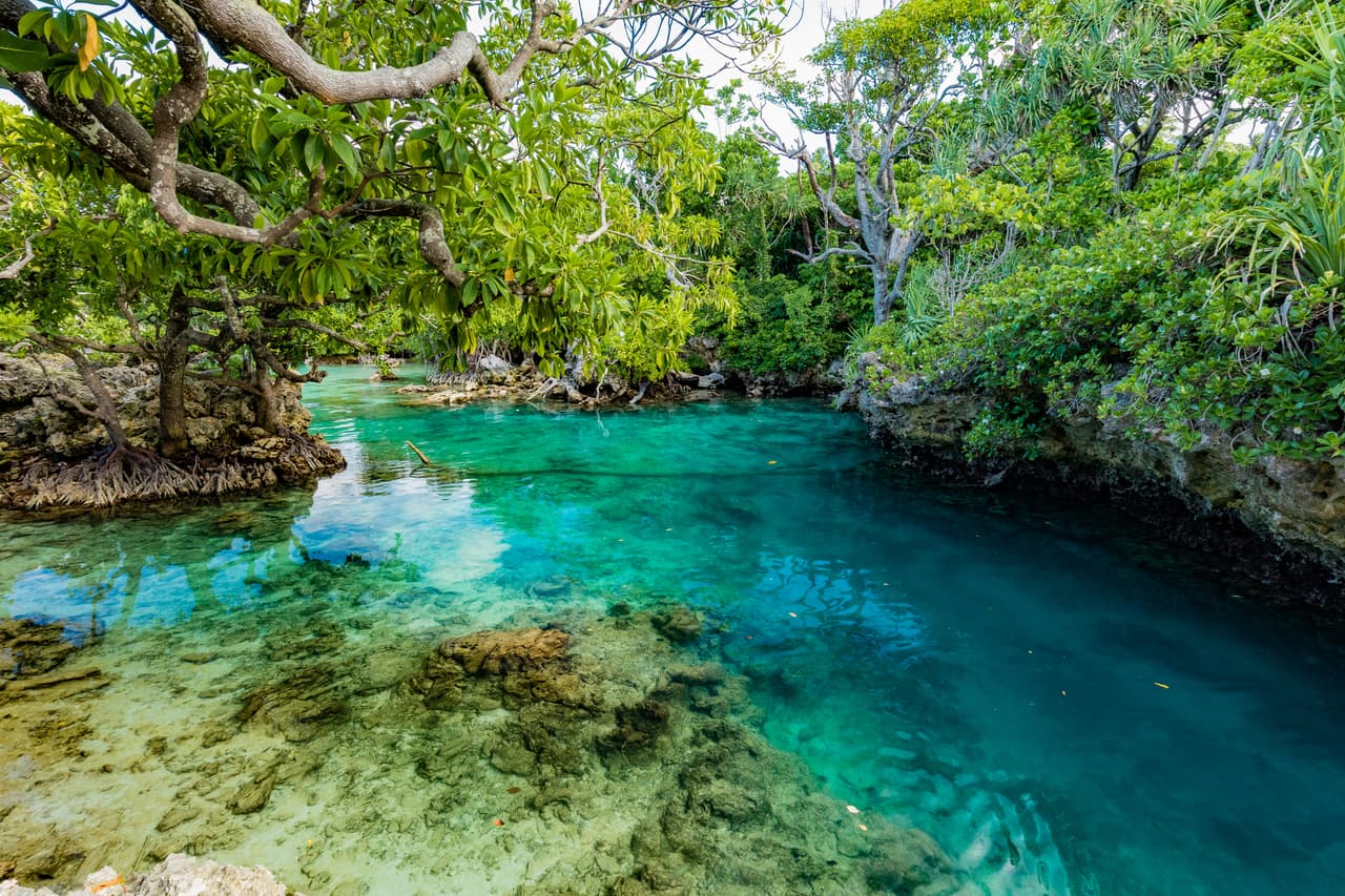 <h2 class="cms-H2-H2">4-</h2>
<h2 class="cms-H2-H2">Vanuatu</h2>
<br>
<br>El estudio de 
<i>Risk Analysis</i> identifica las ventajas de Vanuatu, otro archipiélago también situado en Oceanía. Este país –
<b>de casi 12,200 kilómetros cuadrados y una población de unos 308,000 habitantes</b>– tiene también características para la cosecha y autosuficiencia alimentaria que lo hacen otro refugio para sobrevivir las circunstancias extraordinarias de un holocausto nuclear. 
<br>
<br>No obstante, al igual que las islas Salomón, carece de autosuficiencia energética (en los dos casos, de menos de un 50% para todo su territorio), pero 
<b>la publicación indica que su localización y características lo hacen un lugar “naturalmente resiliente”</b>. 
<br>