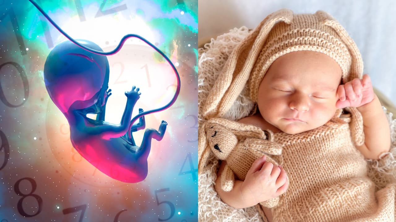 Descubre cómo es el desarrollo de tu bebé semana a semana durante la etapa de gestación
