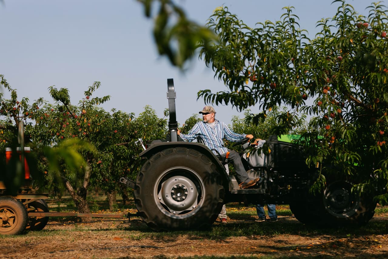 <b><a href="https://georgiagrown.com/find-georgia-grown/fruits-vegetables/peaches/">Los duraznos o melocotones</a></b>. Georgia es famosa por sus melocotones dulces, de hecho, El Departamento de Agricultura de Estados Unidos clasifica al estado como uno de los cuatro principales productores de duraznos junto con California, Carolina del Sur y Nueva Jersey. Muchos productores agrícolas en Georgia han diversificado sus productos y se especializan en ofrecer, por ejemplo, salsas de durazno, mezcla de durazno, salsas barbacoa de durazno, sidra de Georgia y más. Otras incluso ofrecen a los visitantes recorridos por la granja y hasta les permiten organizar fiestas o bodas.