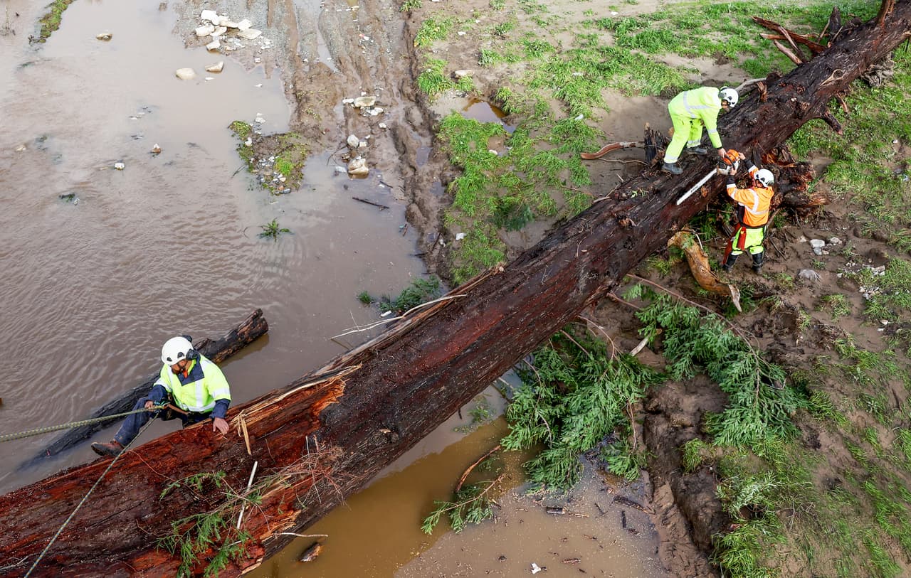 La vocera de PG&E, Mayra Tostado, indicó que el mayor número de reportes se ha dado en el sur de la Bahía, donde ha habido decenas de árboles derribados por los fuertes vientos.
<br>