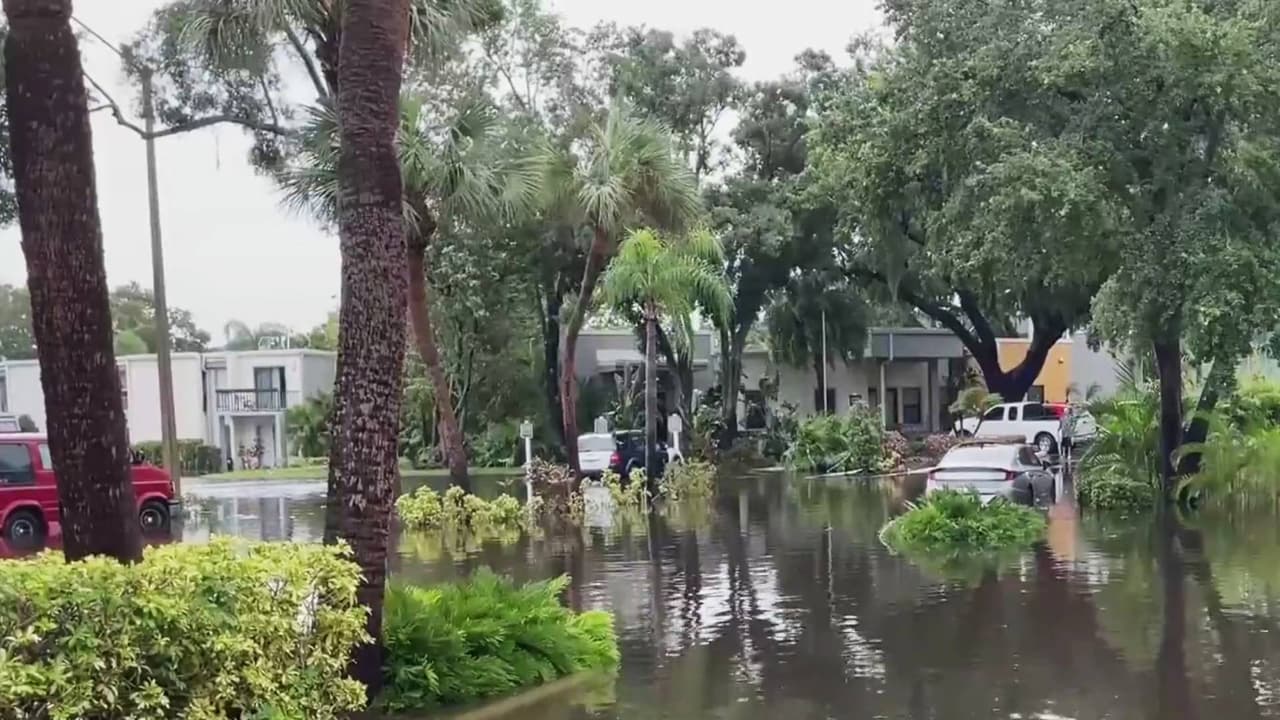 "Llegó como un río": los testimonios tras las inundaciones en Pinellas ante el paso de Debby