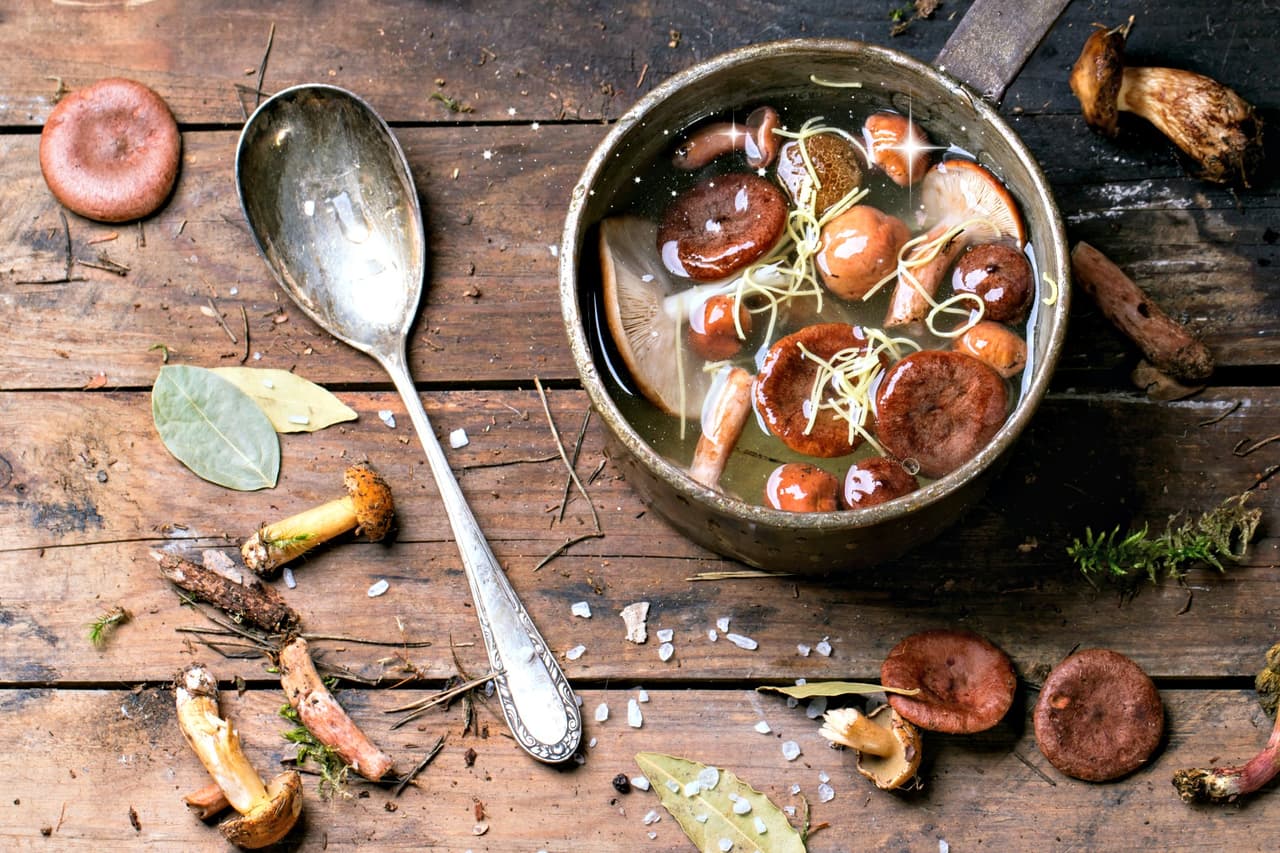 Hongos, la carne de la tierra (y tu alternativa para el Meatless Monday)