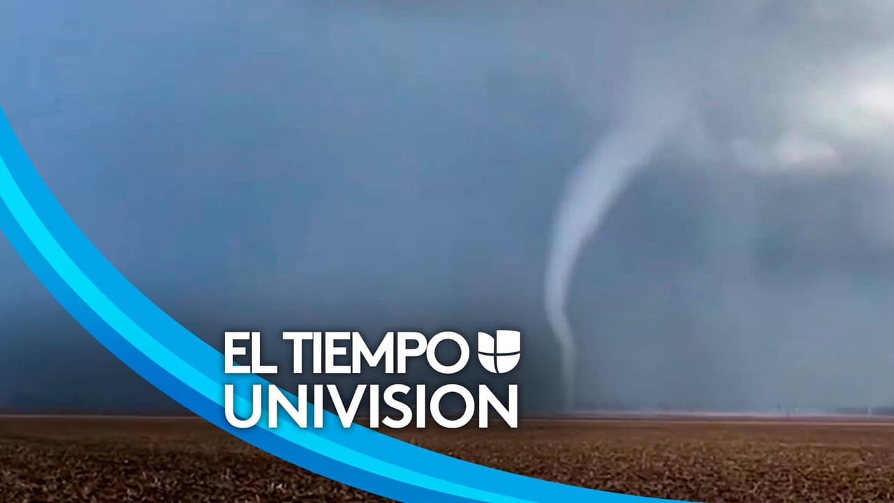 Tornado con tromba terrestre causa daños en Nueva Jersey; arrancó árboles y volcó varios autos