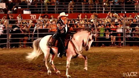 Joan tenía sus caballos consentidos, como el caso de 'El Padrino', el corcel que lo acompañó en un sinnúmero de presentaciones y que murió a los pocos días del fallecimiento del cantautor originario de Juliantla, Guerrero.